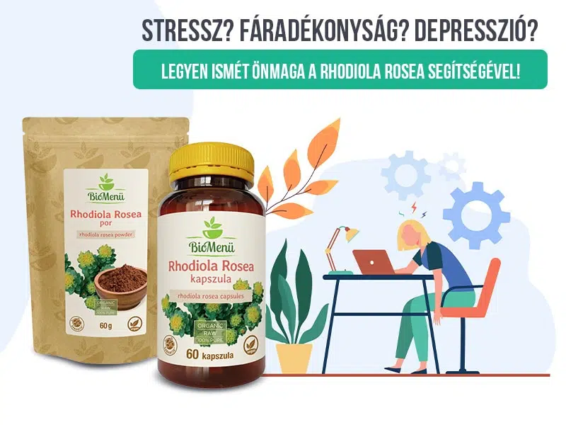 Idegrendszeri harmónia természetes úton Az aranygyökér ereje