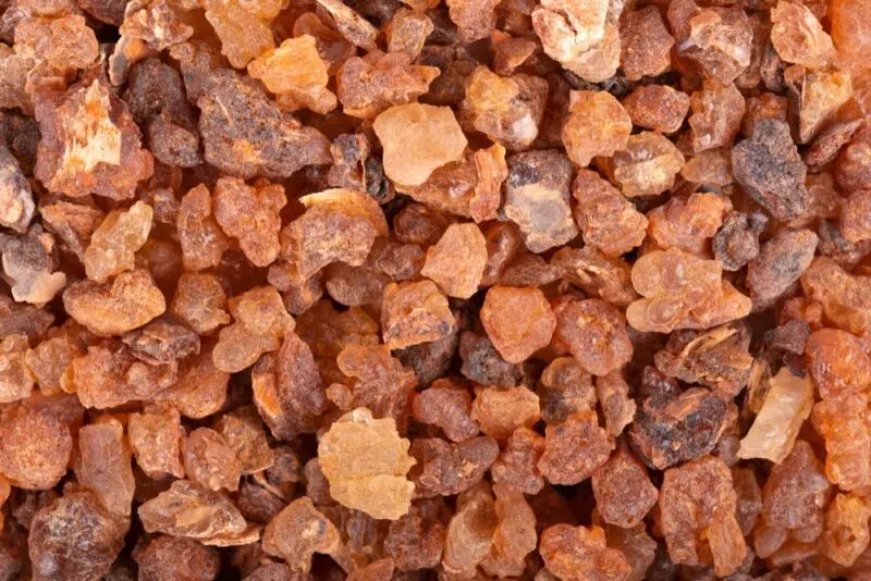 Boswellia serrata: A tömjénfa gyulladáscsökkentő ereje