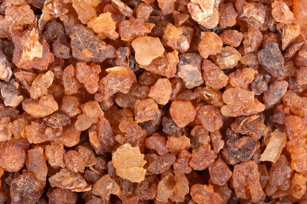 Boswellia serrata: A tömjénfa gyulladáscsökkentő ereje