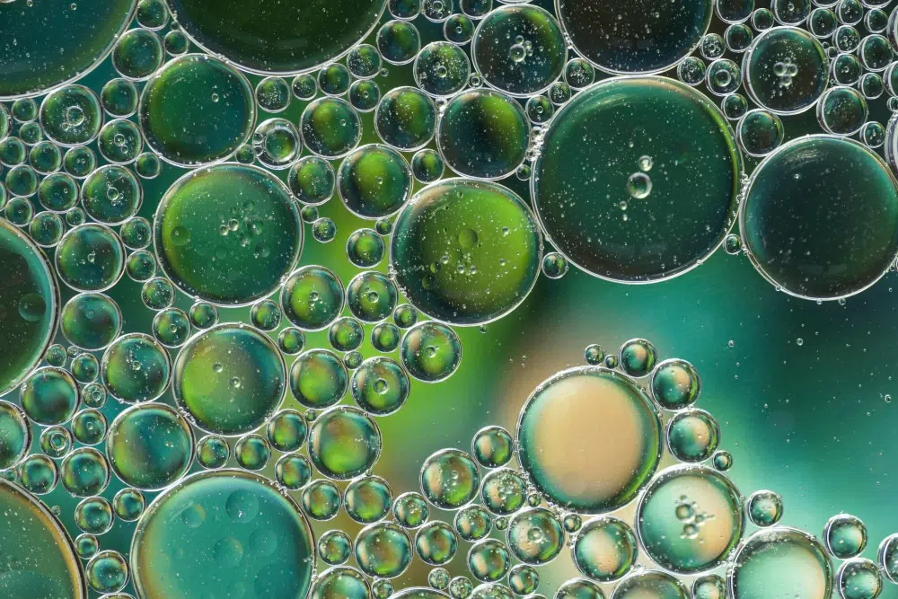 Mikroalga csoda a tányérodon: A chlorella jótékony hatásai Mikroalga csoda a tányérodon: A chlorella jótékony hatásai
