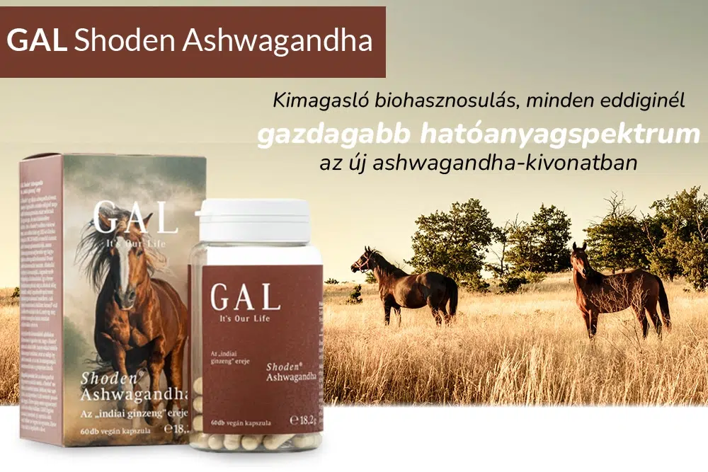 Stressz tünetek? Ismerd meg az ashwagandha erejét!