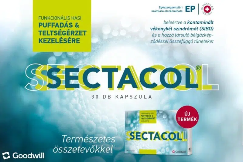 Búcsú a feszes hastól: Gyógynövény kombináció a könnyű emésztésért