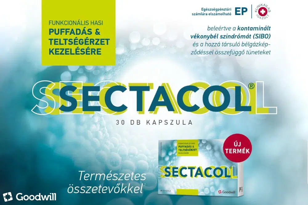 Búcsú a feszes hastól: Gyógynövény kombináció a könnyű emésztésért