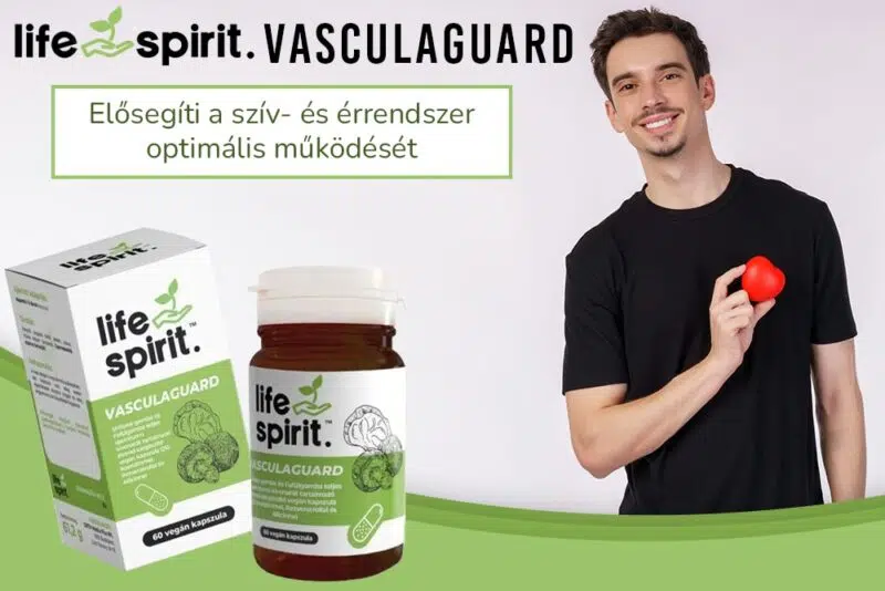 Érelmeszesedés ellen: Természetesen az egészséges erekért