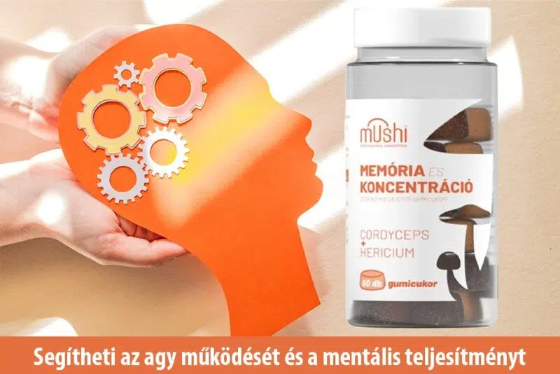Koncentráció és memória: Hatékony támogatás gumicukorral