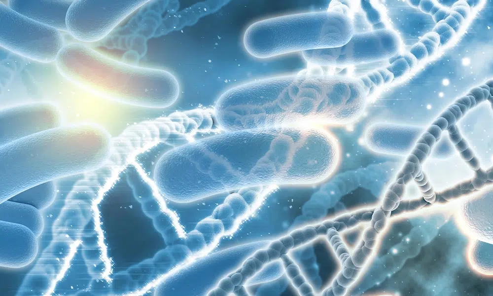 Probiotikum