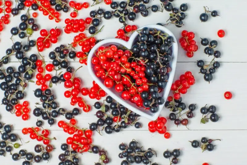 Quercetin – természetes segítség a gyulladások ellen