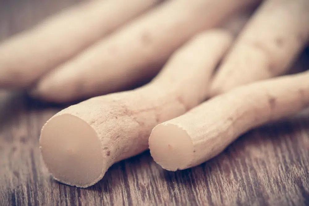 Shatavari – természetes támogatás a női egyensúlyhoz