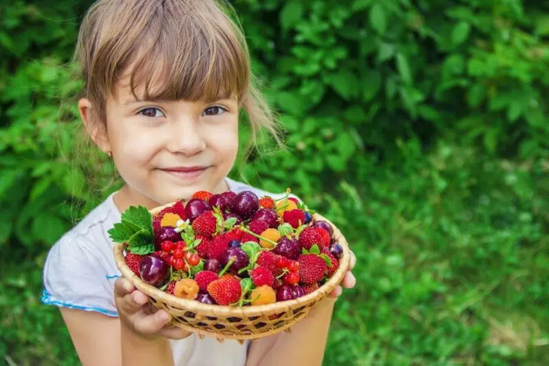 Sejtjeink láthatatlan pajzsa – Miért nélkülözhetetlenek az antioxidánsok?