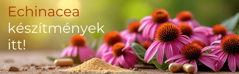 echinacea, köhögés ellen
