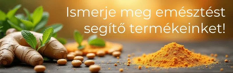 emésztés, prebiotikumok