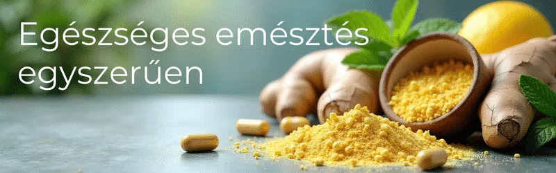 emésztés