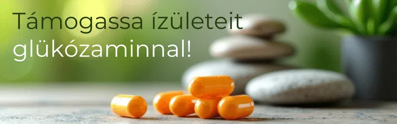 glükózamin, porcerősítő