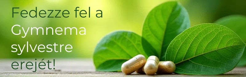 Válasz a természetes fogyókúra kérdéseire: gymnema sylvestre kapszula