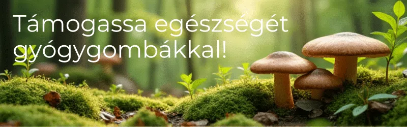 gyógygomba, Mushi AllegraMix