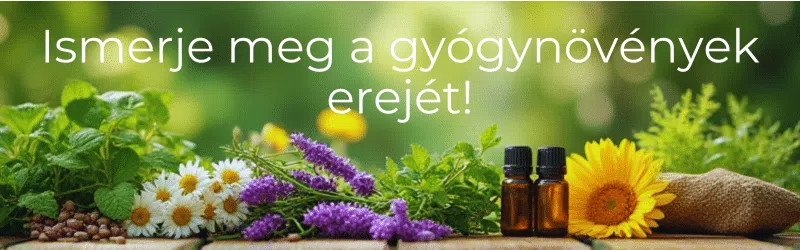 gyógynövények, Slim Cure
