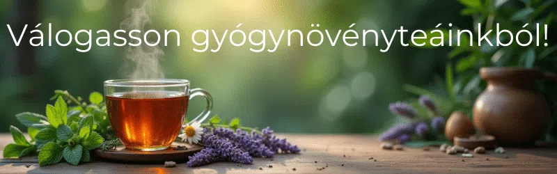 gyógynövénytea, vízhajtó gyógynövények
