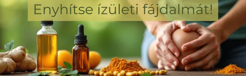 ízületek, porcok