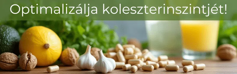 koleszterinszint, koleszterin csökkentés