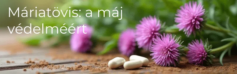 máriatövis, Máj Pro 9