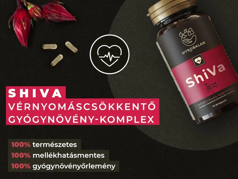 Természet kincstára a vérnyomás támogatására