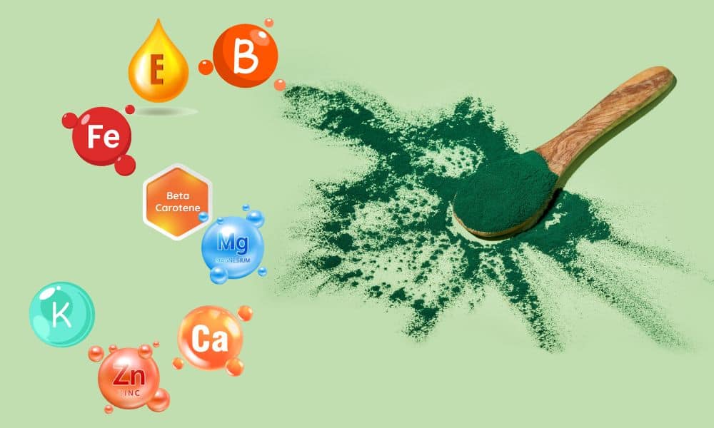 Mikrovilág csodája a tányérodon: Amit a spirulina algáról tudnod kell