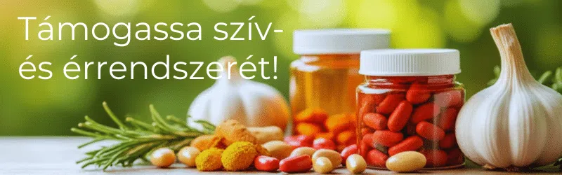szív és érrendszer