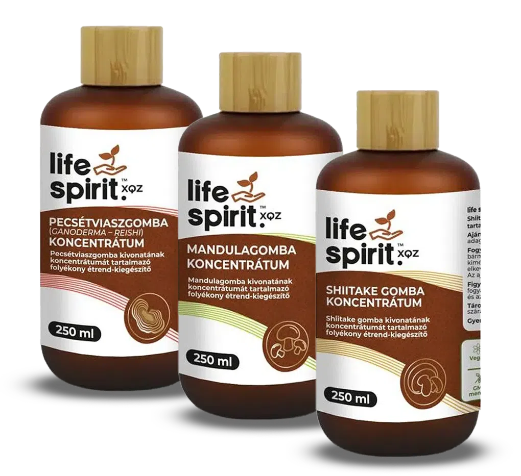 Life Spirit gombakivonat