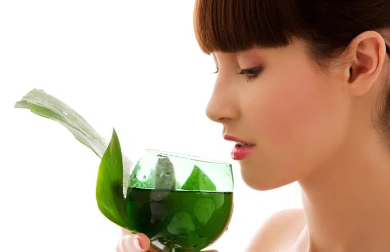 moringa