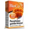 Bioco pecsétviaszgomba kivonat tabletta 60db