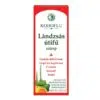Dr.Chen kohoflu szirup 150ml