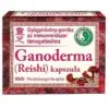 Dr.chen ganoderma (Reishi) kapszula 60db