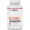 GymBeam Tribulus Terrestris 120db