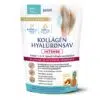 Interherb Kollagén&Hyaluronsav Porcépítő italpor INTENSE ananász és őszibarack 300 g