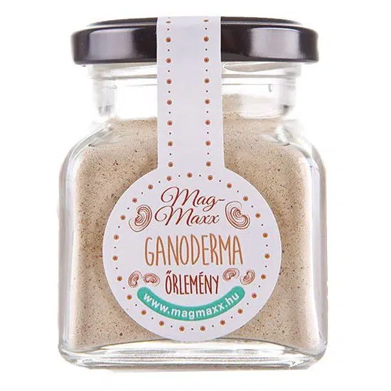 MagMaxx Ganoderma őrlemény 20g MagMaxx Ganoderma őrlemény 20g