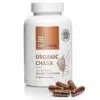 USA Medical ORGANIC CHAGA (10:1) 60db