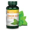 Vitaking Citromfű levél 500mg 60db