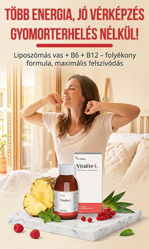 Vitaking VitaFer-L liposzómás vas készítmény