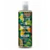 Faith in Nature sampon shea vaj és argán olaj 400ml