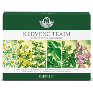 Herbária Kedvenc teáim - gyógynövényes 6x5 filter