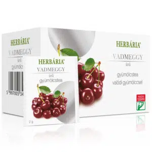 Herbária gyümölcstea vadmeggy filter 20 filter