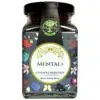 MagMaxx Mental+ gyümölcskristály 90g