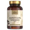 Mushi Kínai hernyógomba (Cordyceps) kivonat kapszula 60db