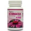 Netamin Echinacea 380 mg tabletta 30db