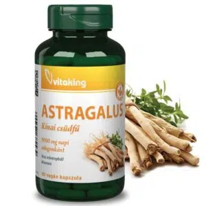 Vitaking Astragalus kivonat kapszula 90db