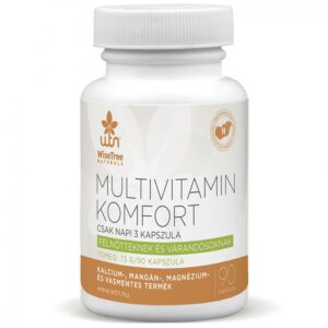Wtn Multivitamin KOMFORT kapszula 90db