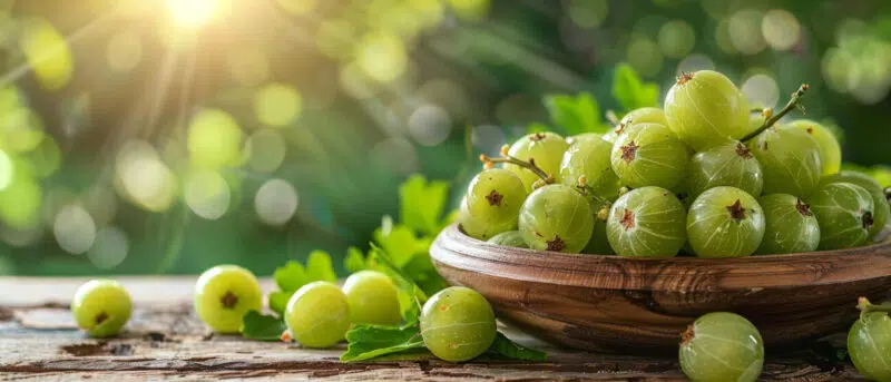 Amla