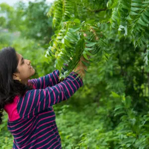 Neem