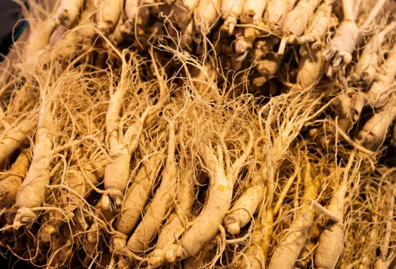 ginseng mellékhatásai