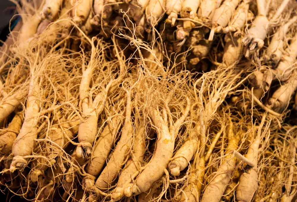 ginseng mellékhatásai ginseng mellékhatásai